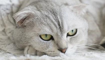 泰州伴游,定制QQ:3494206190微信:act1322